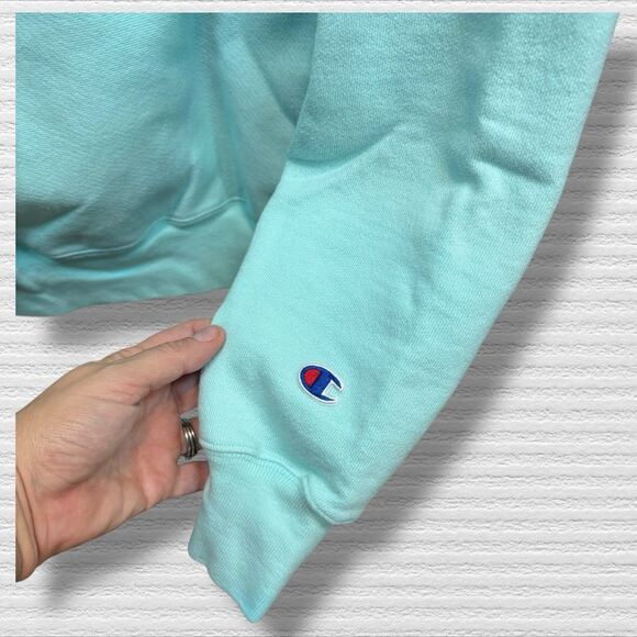 CHAMPION  Reverse Weave Double Hoodie In Ice Fall/white Size Large - Picture 9 of 9